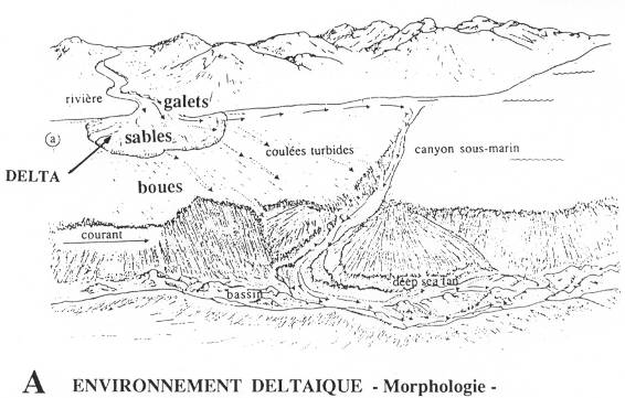 Environnement deltaïque - Morphologie -