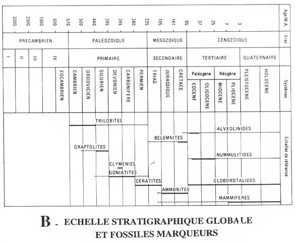 Echelle stratigraphique globale et fossiles marqueurs