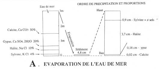 Evaporation de l'eau de mer