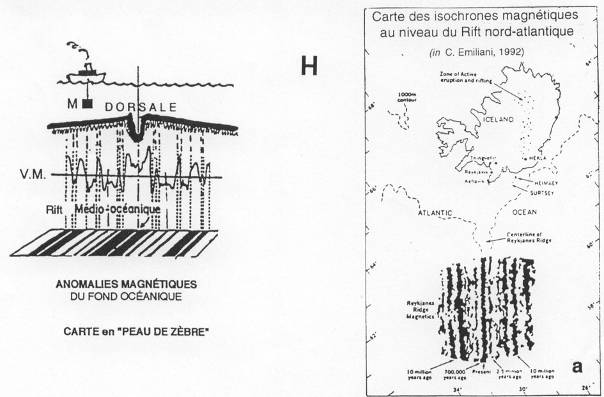 Anomalie magnétique et carte des isochrones magnétiques au niveau du rift Nord-Atlantique