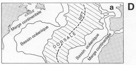 Croute océanique, exemple régional de l'Atlantique