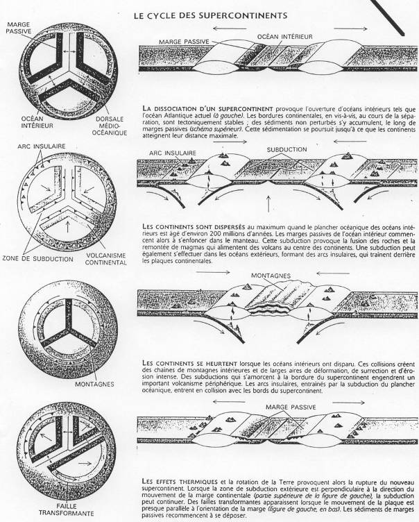 Cycle des continents et modèle de Wilson