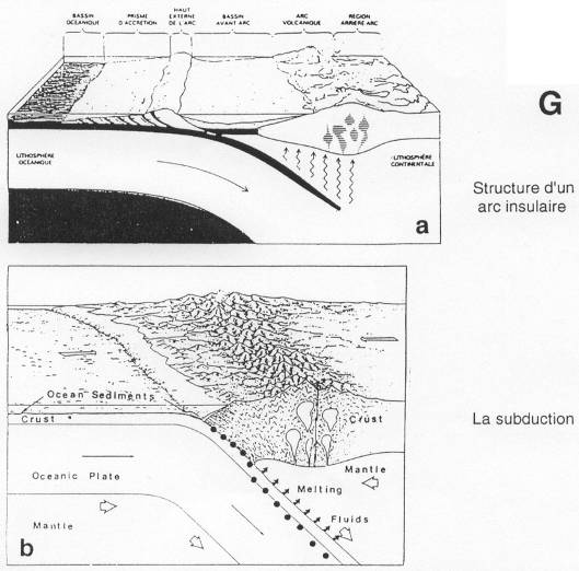 Structure d'un arc insulaire et subduction