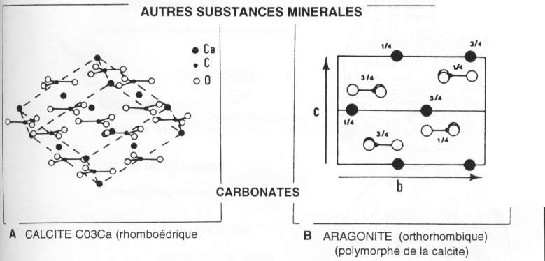 Carbonates