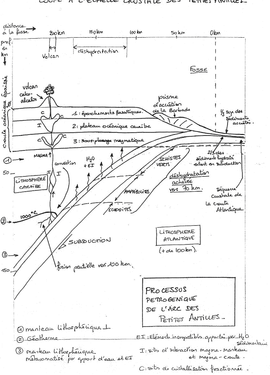 Processus pétrogénique de l'arc des Antilles