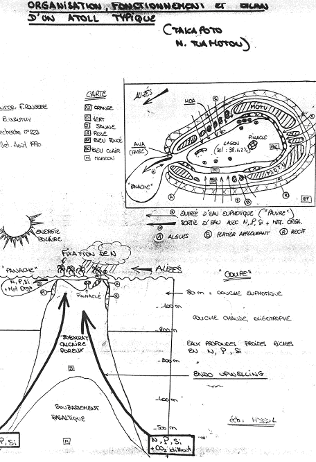 Atoll de Mururoa - 3