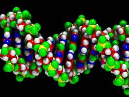 l12-biomol-2-2