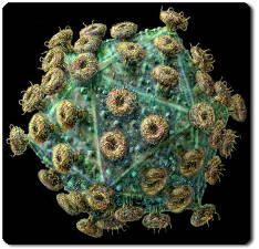 l12-microbio-chap3-virus
