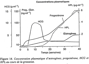 Concentration plasmatique d'oestrogènes, progestérone, HCG et HPL