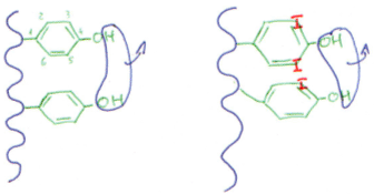 TPD et synthèse de T3 et T4