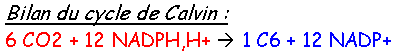 bilan du cycle de Calvin