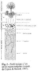 Profil typique d'un sol en région tempéré