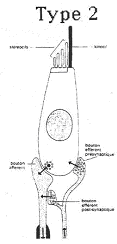 Récepteur de type 2