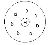 Cellule bipolaire hyperpolarisante