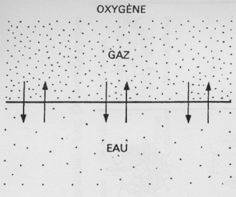 Diffusion de l'oxygène entre air et eau