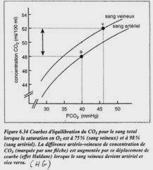 Courbes d'équilibration du CO2