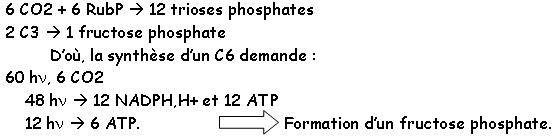 Formation d'un fructose phosphate