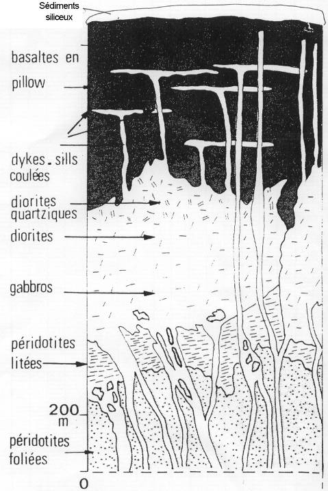 Coupe et structure avec les ophiolites