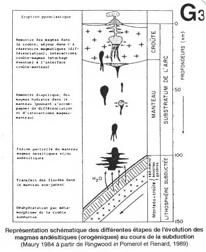 Représentation schématique des différentes étapes de l'évolution des magmas andésitiques pendant la subduction