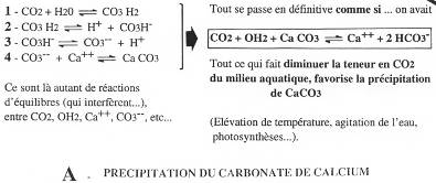 Précipitation du carbonate de calcium