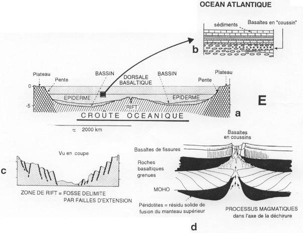 Croute océanique, exemple régional de l'Atlantique