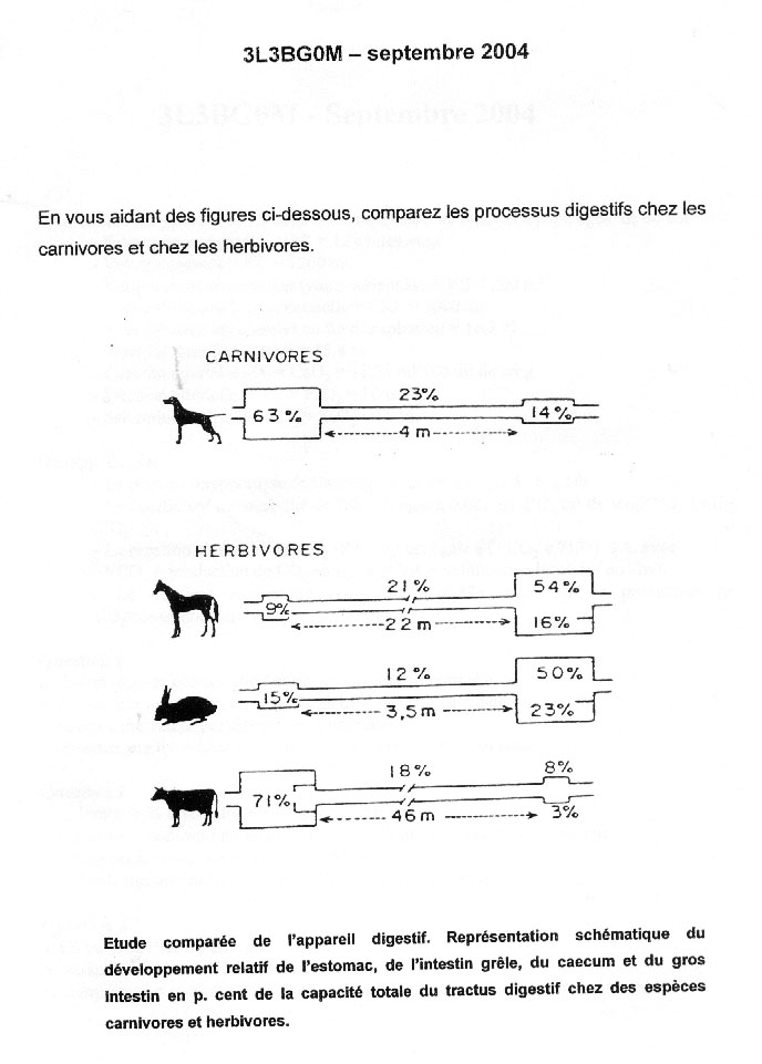[sujet] Physiologie Animale – Licence – Septembre 2004