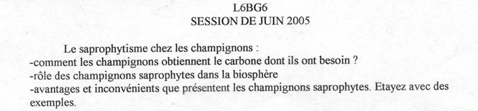 [sujet] Biologie Végétale – Thallophytes – Juin 2005 – Licence