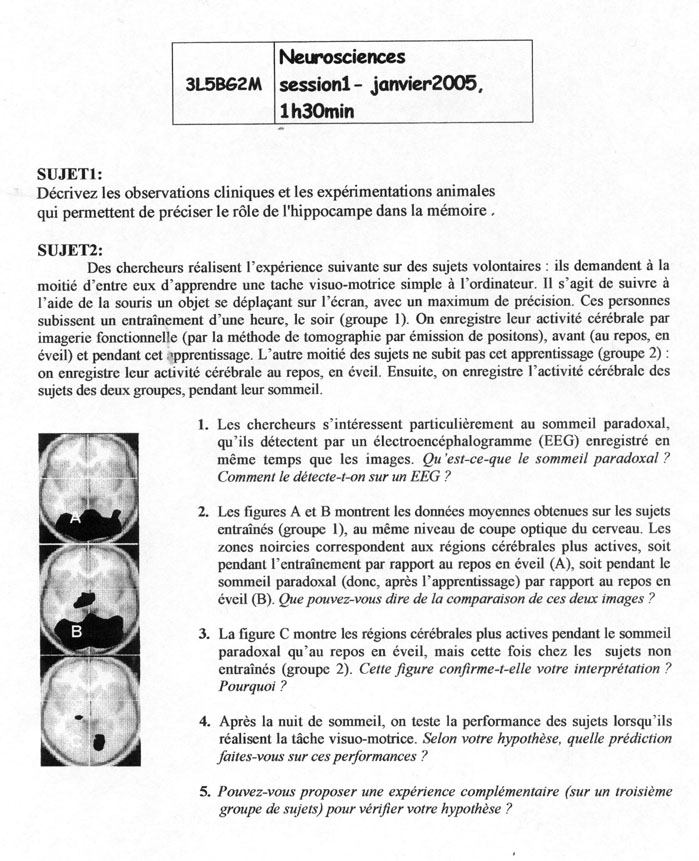 [sujet] Neurosciences – Licence – Janvier 2005 – Hippocampe et Activité cérébrale