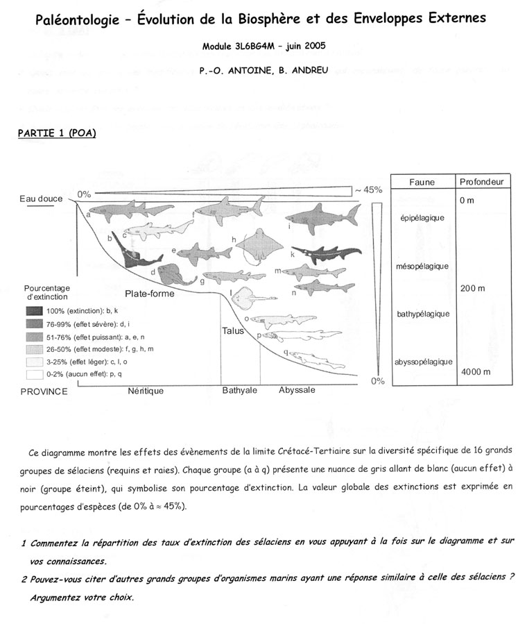 [sujet] Paléontologie – Licence – Juin 2005 – Biosphère et Enveloppes externes