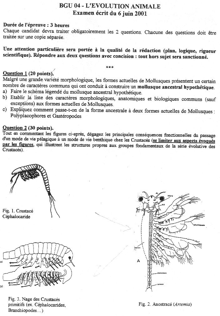 [sujet] – Biologie Animale – Licence 3 – Juin 2001