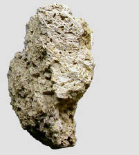 exemple de roche sédimentaire carbonatée